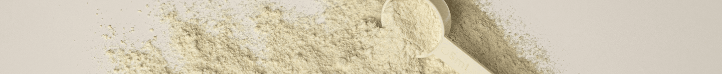 Banner 2