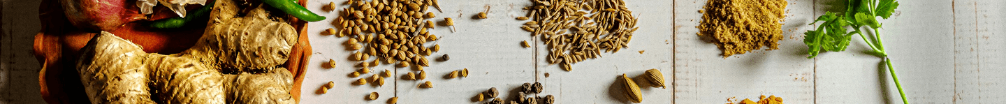 Banner 1