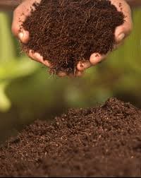 Coco Peat