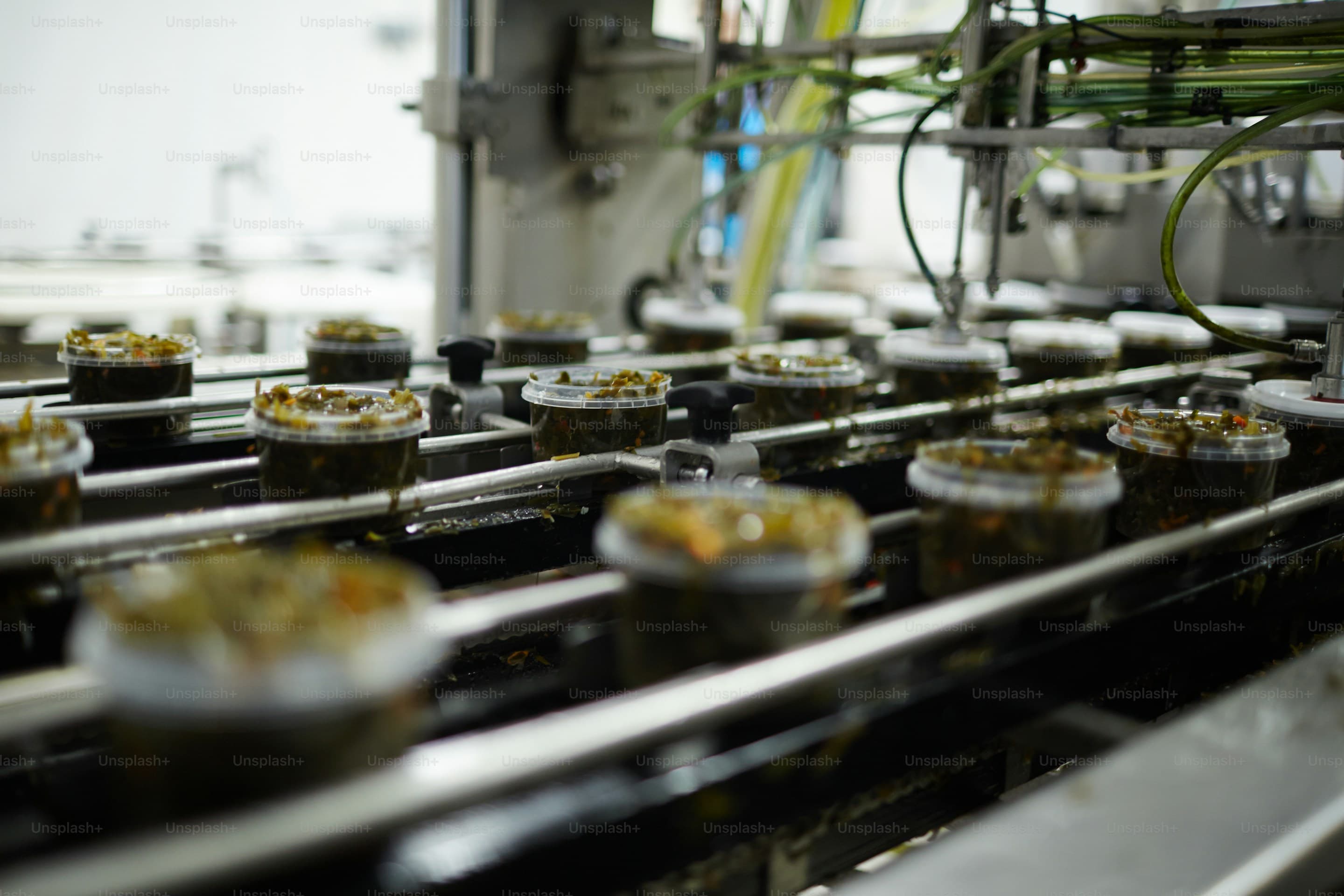 Food Processing & Distribution